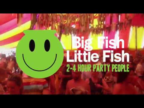 Big Fish Little Fish family rave Festivals 2018 - final list!