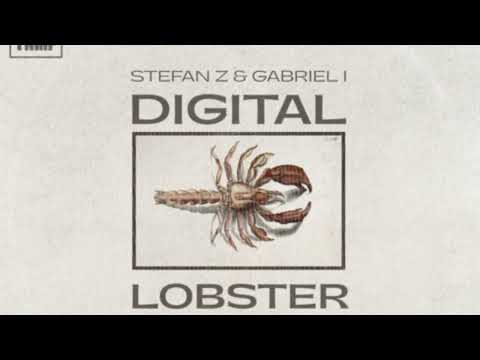Gabriel I & Stefan Z   Digital Lobster