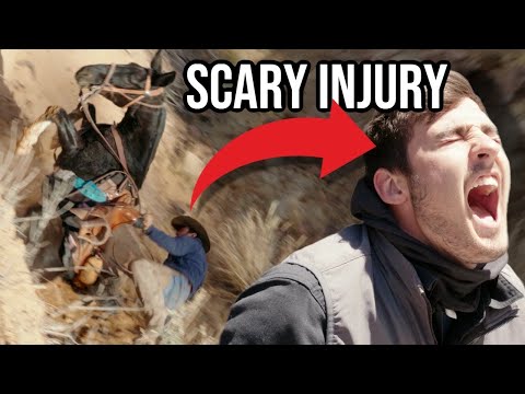 We Tried Crossing an Entire State on Mules… BIG TROUBLE