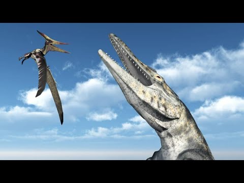 Chased By Sea Monsters (Discovery Channel Version)