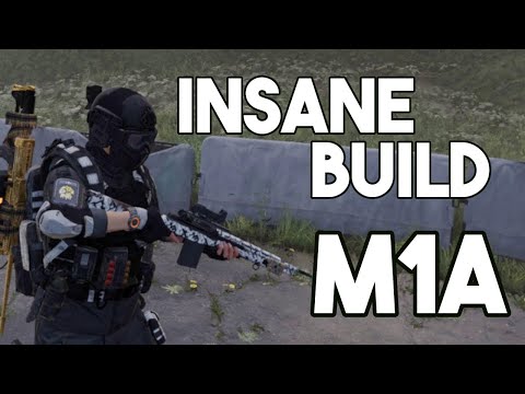 Division 2: BEST RIFLE  M1A/Baker's Dozen Build