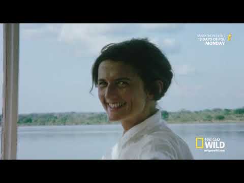 National Geographic, Dian Fossey: Secrets in the Mist 1 "Gorilla Girl" Dec 2017