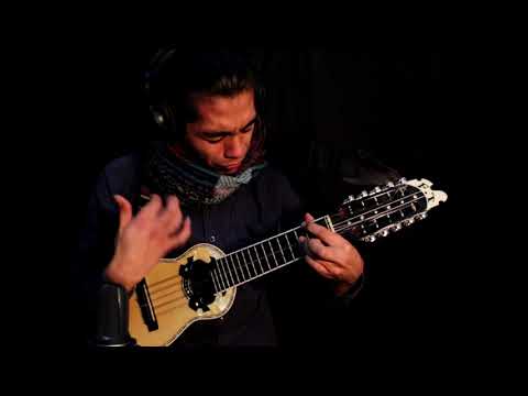 Puma Pungo - Charango Juan Garrido