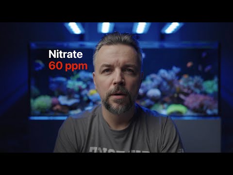 Overdosing Nitrate in a Reef Tank