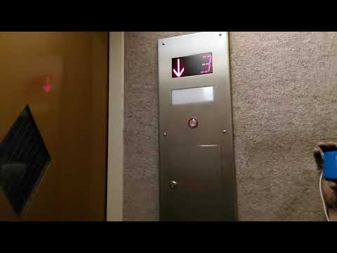 Unknown Hydraulic Elevator at Ogden Arms, Denver, CO