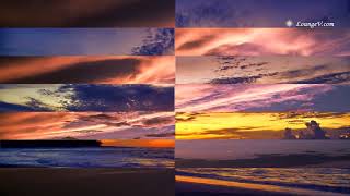 Schiller   Night Flight Nachtflug