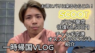 【一時帰国VLOG】バリ→日本へ格安スクート✈️シンガポール経由で超お得！プライオリティパスでラウンジ紹介も🔥