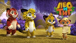 Лео и Тиг — Радуга — Серия 71