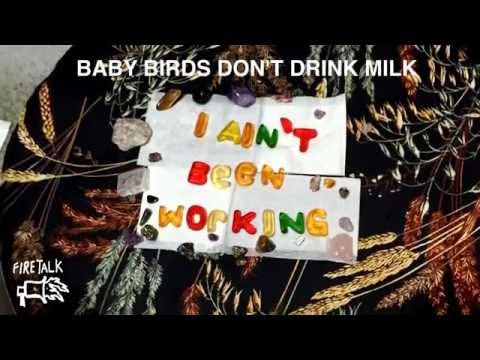 Baby Birds Don't Drink Milk -  I Ain't Been Workin (Official Audio)