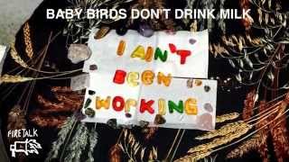 Baby Birds Don't Drink Milk -  I Ain't Been Workin (Official Audio)