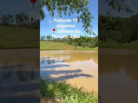 (62)9-8305-7960 - Fazenda 19 alqueires em Jandaia-Go. #goias #fazendas