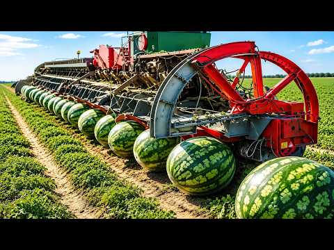 20 Minutes of Satisfying Factory Machines, Ingenious Tools & Skilled Workers▶ 10