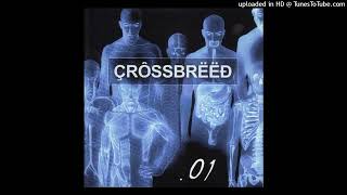 Crossbreed- Push