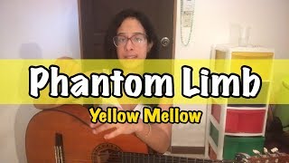 Como tocar Phantom Limb de Yellow Mellow
