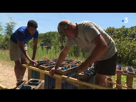 2022 : troisième année difficile pour les artificiers en Limousin