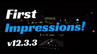 Tesla's FSD Supervised v12.3.3 | First Impressions!