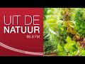 De kruiden van Marlies Engels