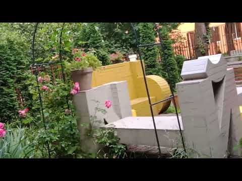 Cats today in Sofia Literature house 🏡🏠