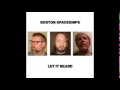 Boston Spaceships - The Vicelords