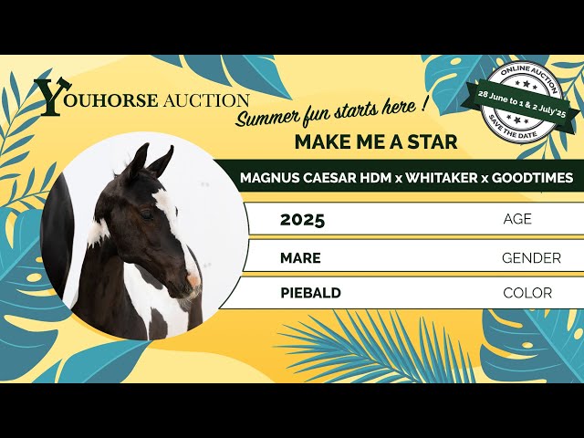 Make me a Star