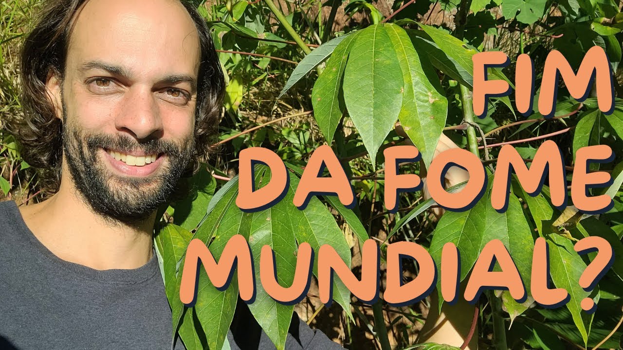 10 Plantas que Podem Acabar com a Fome no Mundo