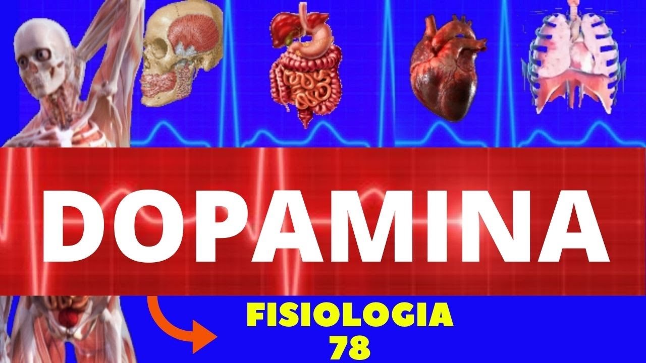 DOPAMINA - NEUROTRANSMISSOR (FISIOLOGIA DE GUYTON) - FISIOLOGIA DA DOPAMINA - NEUROFISIOLOGIA