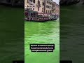 Stretch of Venice's Grand Canal turns bright green #shorts
