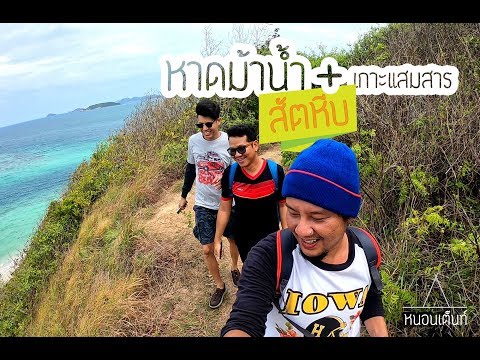 คลิกเพื่อดูคลิปวิดีโอ