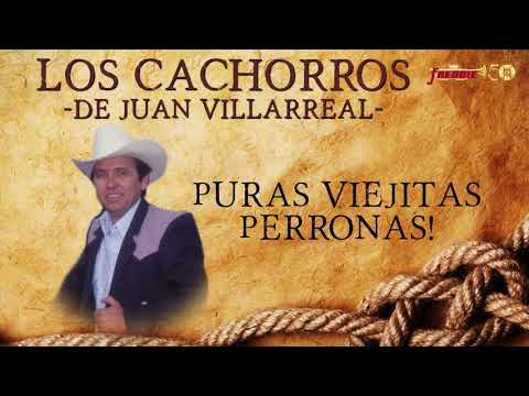 Los Cachorros De Juan Villarreal - Puras Viejitas Perronas!