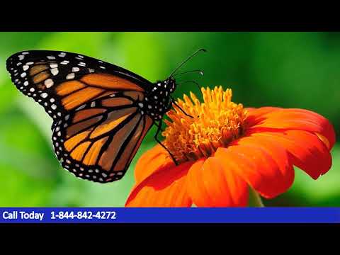 Radio Jingles Savannah Georgia