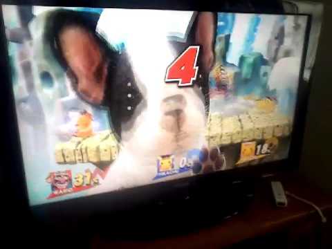 Dog eats wario?  | WARNING! LOUD!