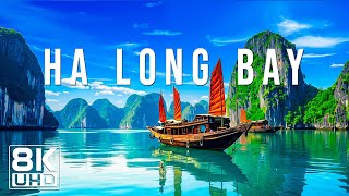 Ha Long Bay 8K UHD | Kỳ Quan Thiên Nhiên Thế Giới Của Viet Nam