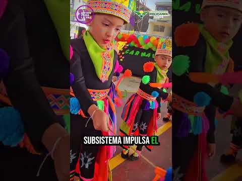 Creación Subsistema SINEFAC Policarpa Nariño