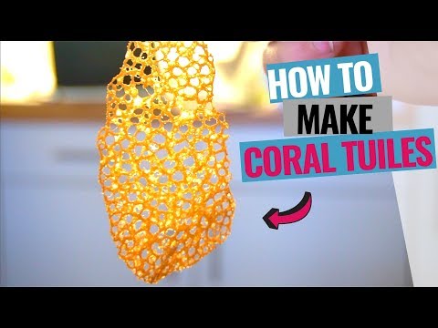 download lagu mp3 mp4 Tuile Recipe, download lagu Tuile Recipe gratis, unduh video klip Tuile Recipe