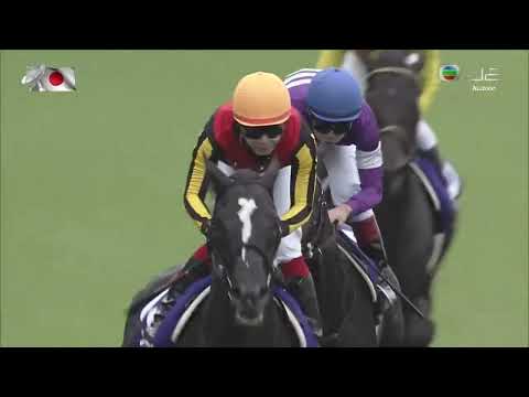 2022 安田紀念賽 Yasuda Kinen 安田記念 前人足跡 Songline ソングライン 池添謙一
