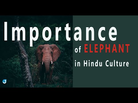 The Significance of an Elephant in Hindu Culture - www.jothishi.com - Lord Ganesha Connection