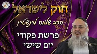 חוק לישראל - פרשת פקודי - יום שישי | הרב שלמה לוינשטיין (ארגון קול הלשון) - התמונה מוצגת ישירות מתוך אתר האינטרנט יוטיוב. זכויות היוצרים בתמונה שייכות ליוצרה. קישור קרדיט למקור התוכן נמצא בתוך דף הסרטון