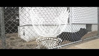 Big Will - Walnut Park ( Official Music Video )