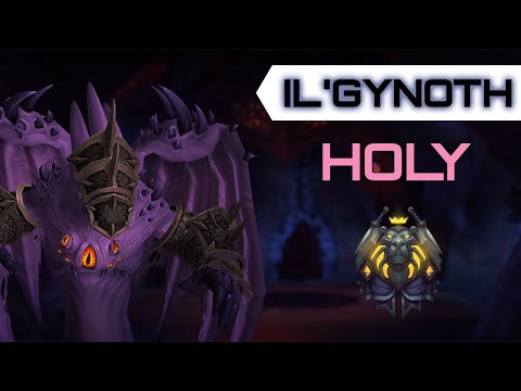 Mythic Il'gynoth  - Holy Paladin POV - Ny'alotha