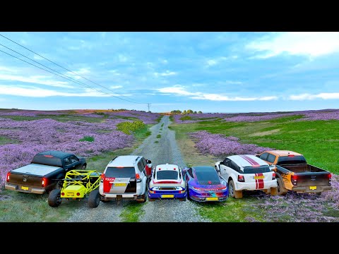 PEGUE ME SE FOR CAPAZ COM UM CARRINHO BEM ESTRANHO - FORZA HORIZON 4