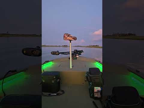 @trackerboats Grizzly 1648 Utility.