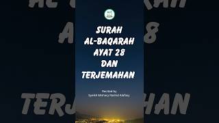 Download lagu Surah Al-Baqarah Ayat 28 dan Terjemahan #misharyrashidalfasy #surahalbaqarah #islamic mp3