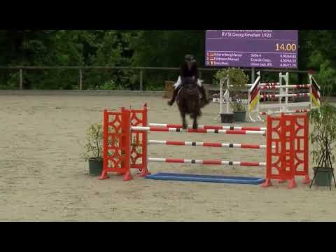 Casanova De Beaufour DXB (Kashmir Van’t Schuttershof x Diamant De Semilly) Düsseldorfer Reitertage 💫