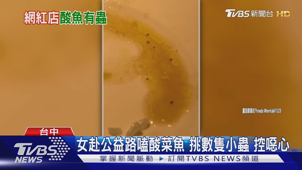 台中公益路4.8顆星酸菜魚店 驚見蟲蟲 客挑出控噁心