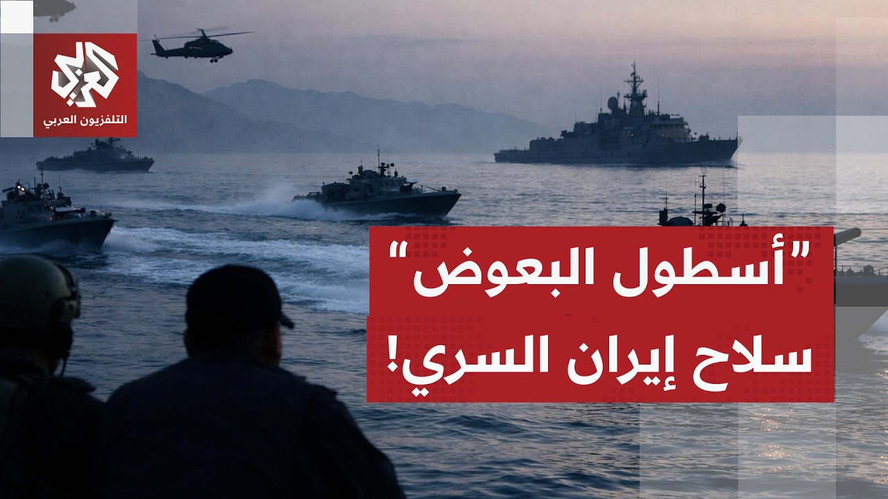 أسطول البعوض .. تكتيك إيراني للحرس الثوري لتجاوز الخسائر التي تعرض لها السلاح