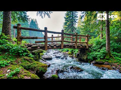 All your worries will disappear if you listen to this music 🎶 Healing music for the heart