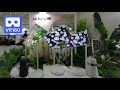 3D 180VR LG Electronics StanbyME Signature OLED8K Indoor Gardening With Plant Cultivator Tiiun 4K
