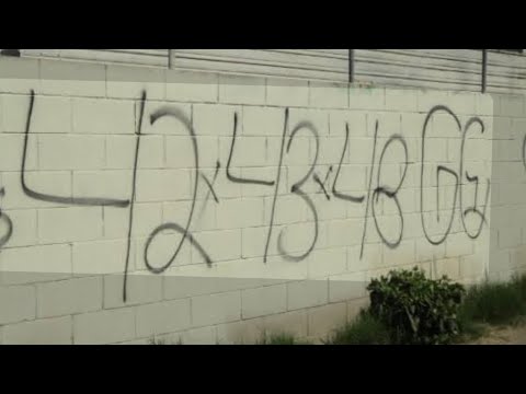 4TRAY GANGSTAS| NHC LOVERS|SO WHAT!!