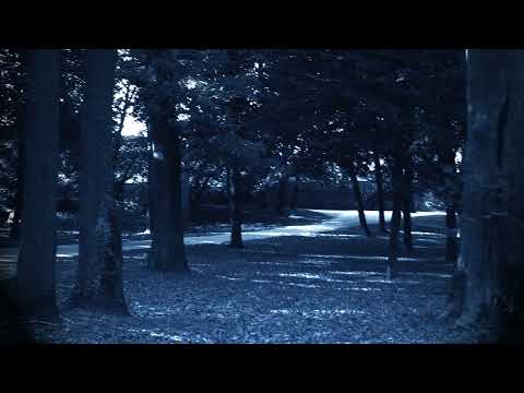 Ars Manifestia  - Home