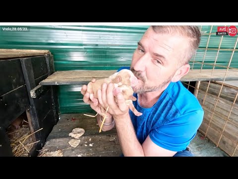 #živaistina#bećar sam.Ja sam nju volio,ona mene nije.Još se mama umiješala!!! #cazin